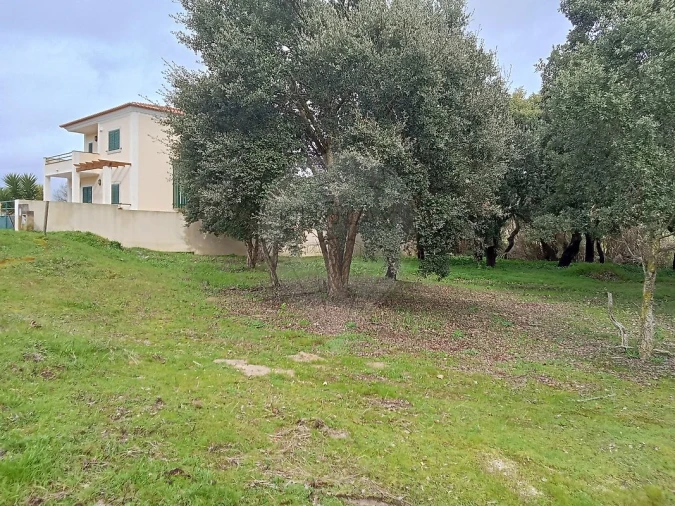 Terreno para Venda em Cartaxo e Vale da Pinta Foto 1