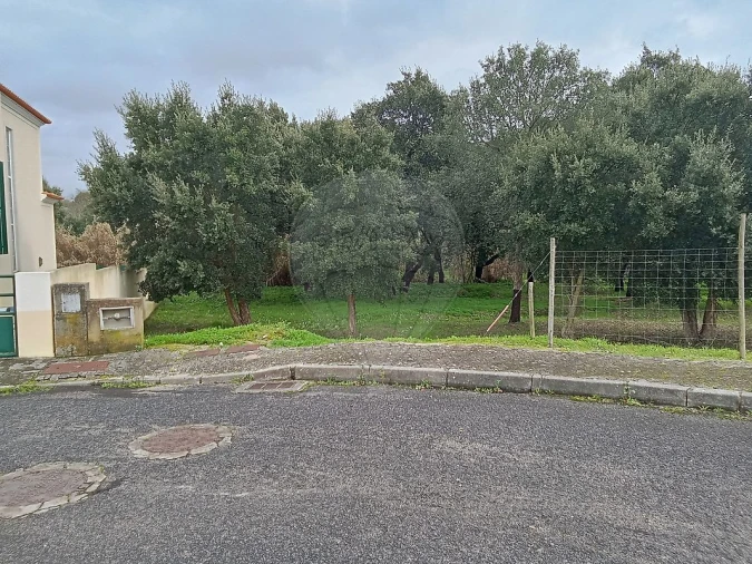 Terreno para Venda em Cartaxo e Vale da Pinta Foto 8
