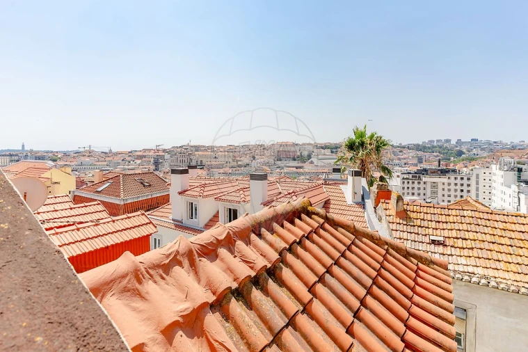 Apartamento T1 para Venda em Santa Maria Maior Foto 6