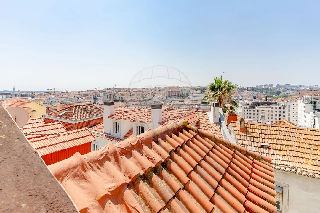 Apartamento T1 para Venda em Santa Maria Maior Foto 6