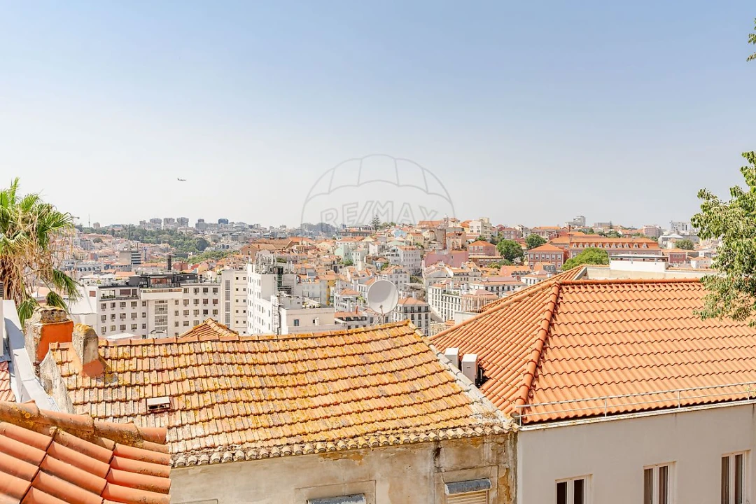 Apartamento T1 para Venda em Santa Maria Maior Foto 7