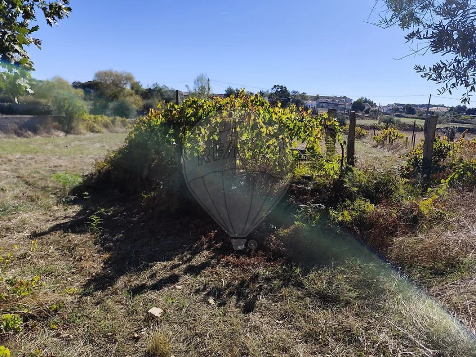 Terreno para Venda em Alcains Foto 7