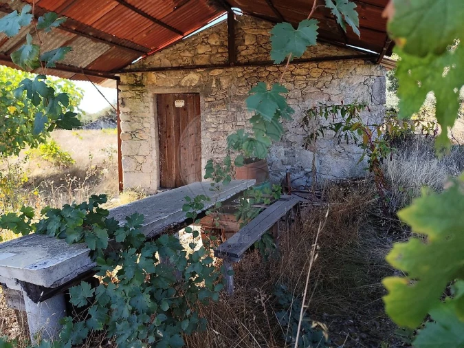 Terreno para Venda em Alcains Foto 4