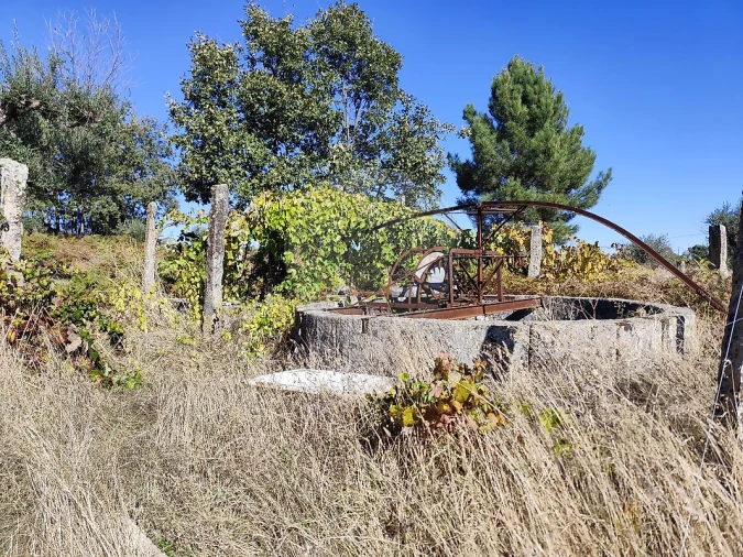 Terreno para Venda em Alcains Foto 5