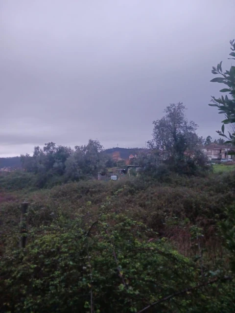 Terreno Agricola ou Rústico para Venda em Foz do Sousa e Covelo