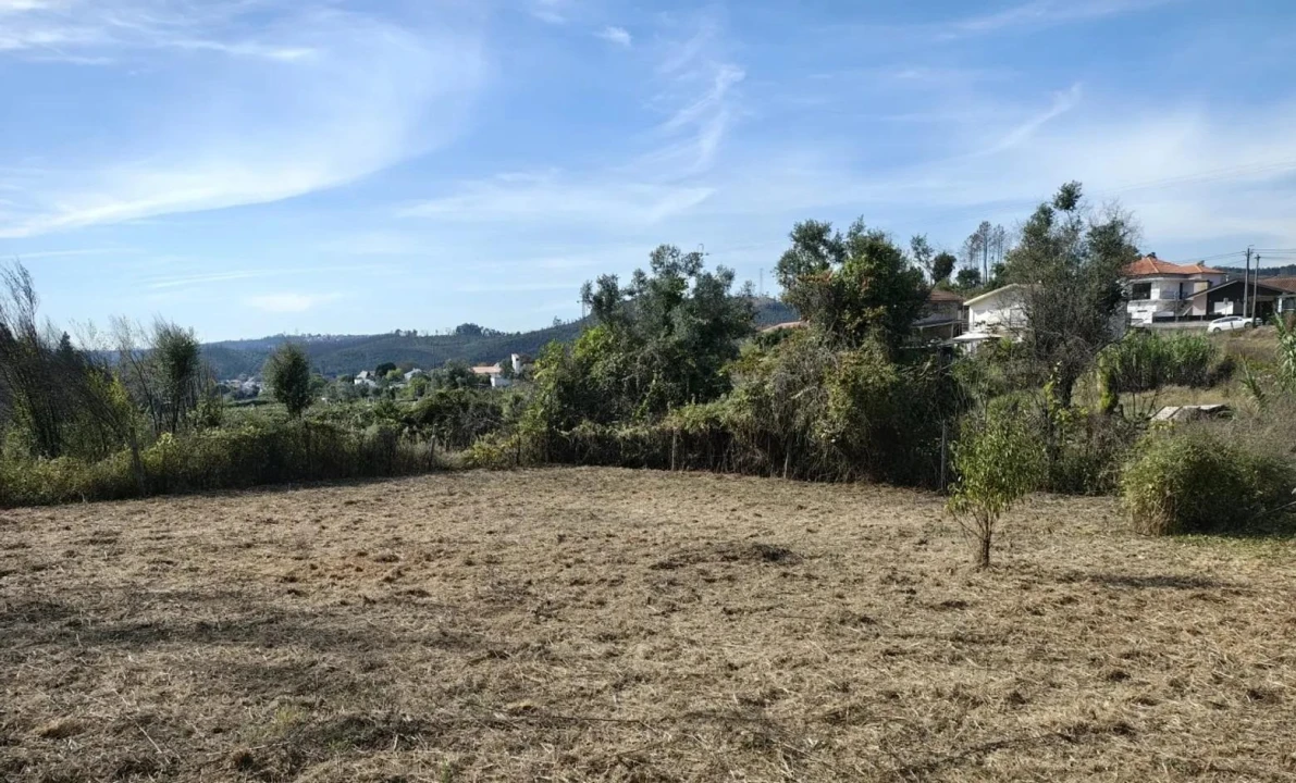 Terreno Agricola ou Rústico para Venda em Foz do Sousa e Covelo Foto 1