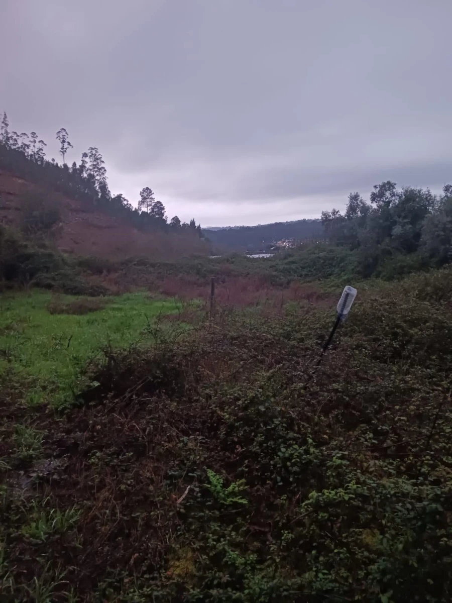 Terreno Agricola ou Rústico para Venda em Foz do Sousa e Covelo Foto 3