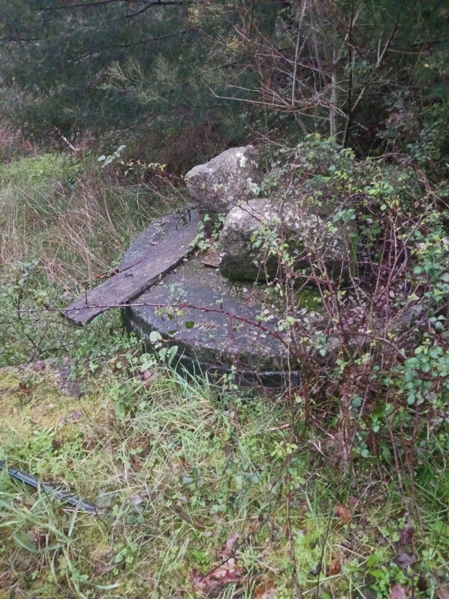 Terreno Agricola ou Rústico para Venda em Foz do Sousa e Covelo Foto 3