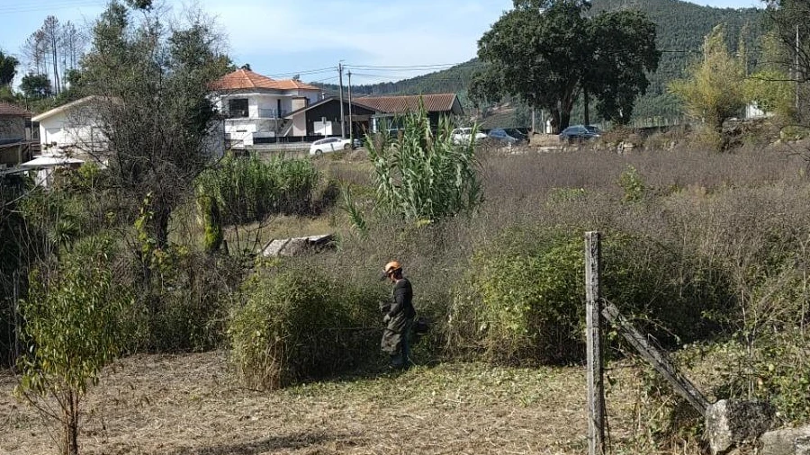 Terreno Agricola ou Rústico para Venda em Foz do Sousa e Covelo