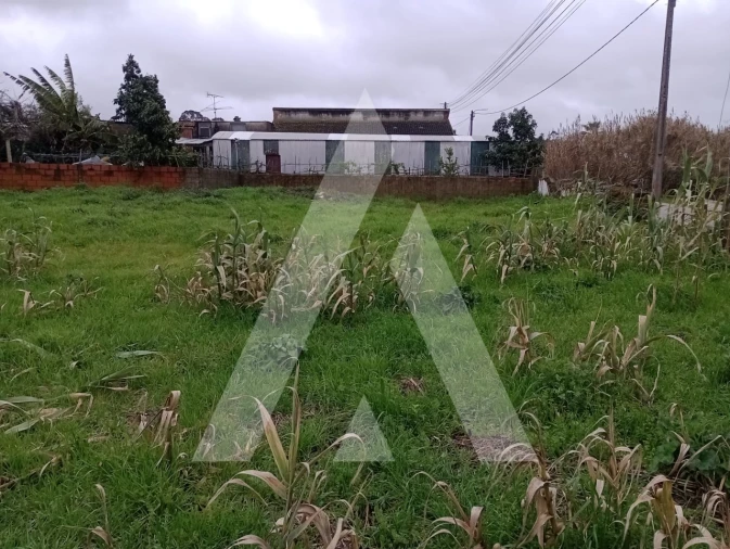 Terreno para Venda em Santo Andre de Vagos Foto 3
