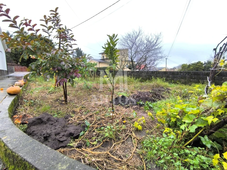 Moradia T3 para Venda em Alvarães Foto 14