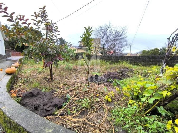 Moradia T3 para Venda em Alvarães Foto 14