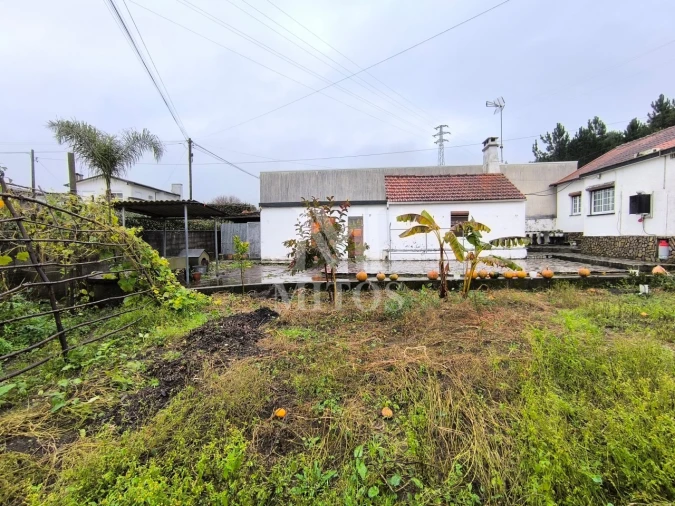 Moradia T3 para Venda em Alvarães Foto 15