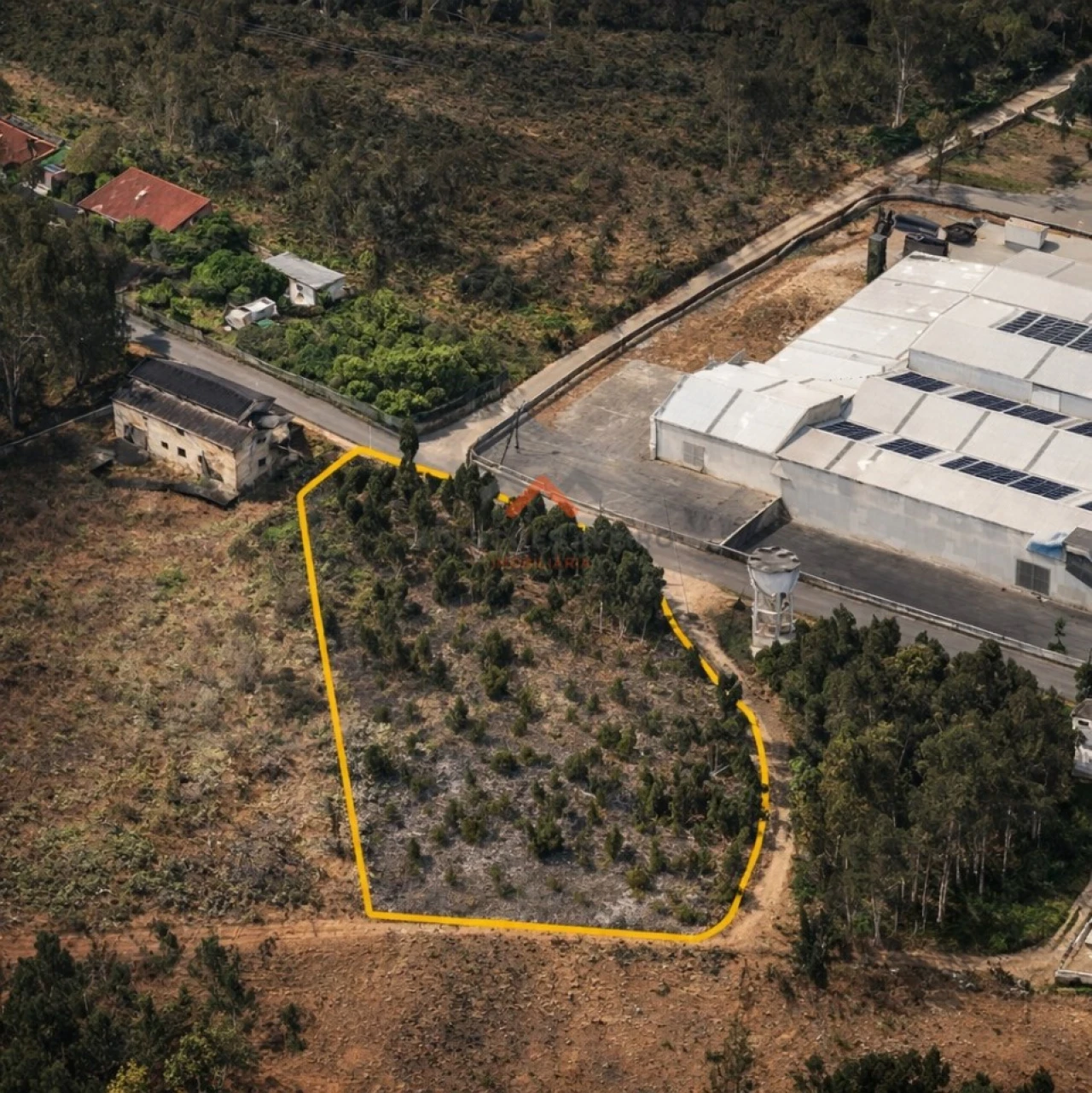 Terreno para Venda em Águeda e Borralha Foto 2