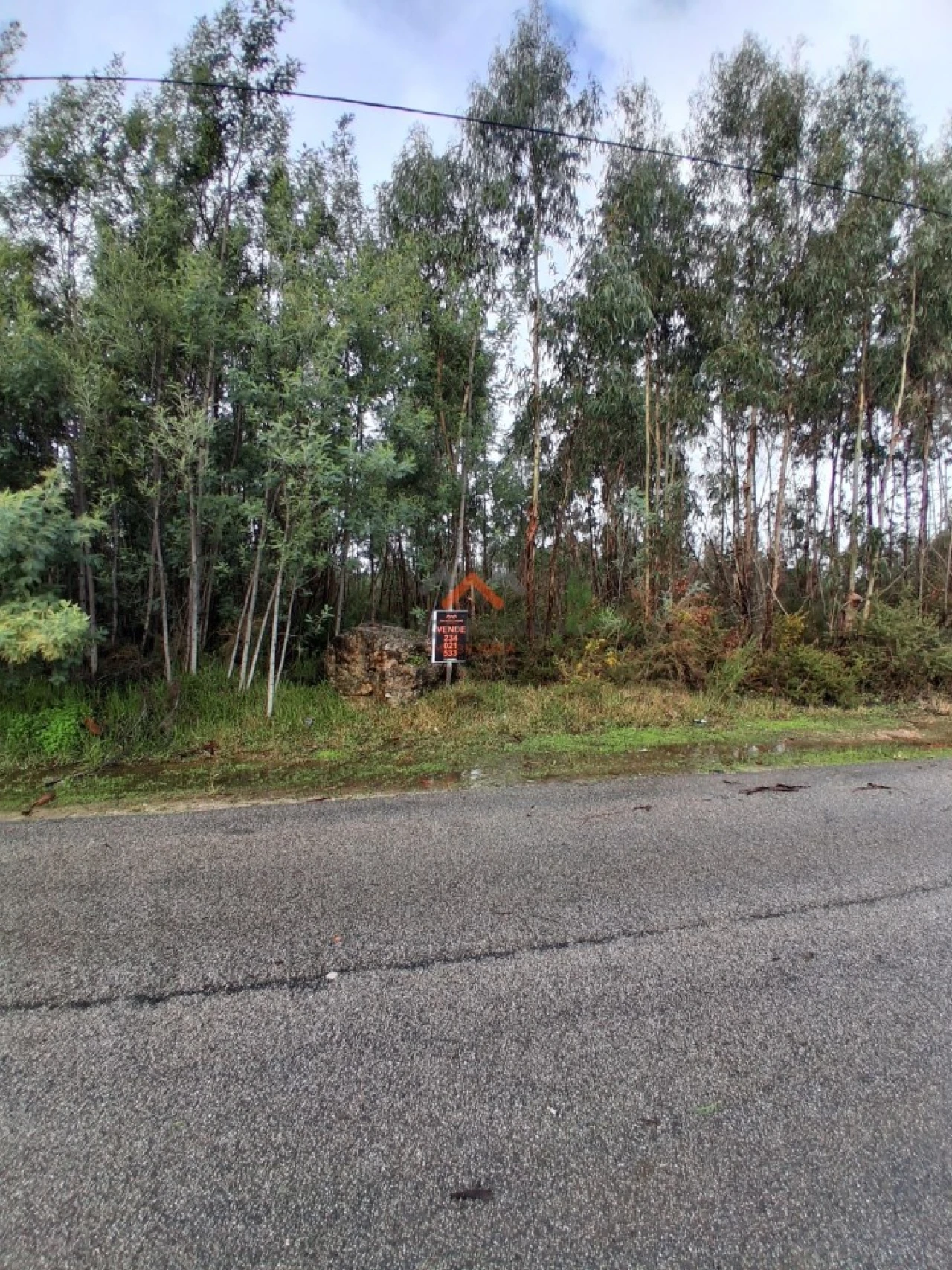 Terreno para Venda em Águeda e Borralha Foto 5