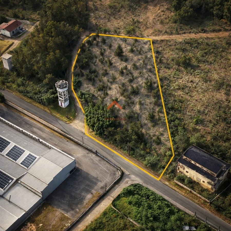 Terreno para Venda em Águeda e Borralha Foto 3