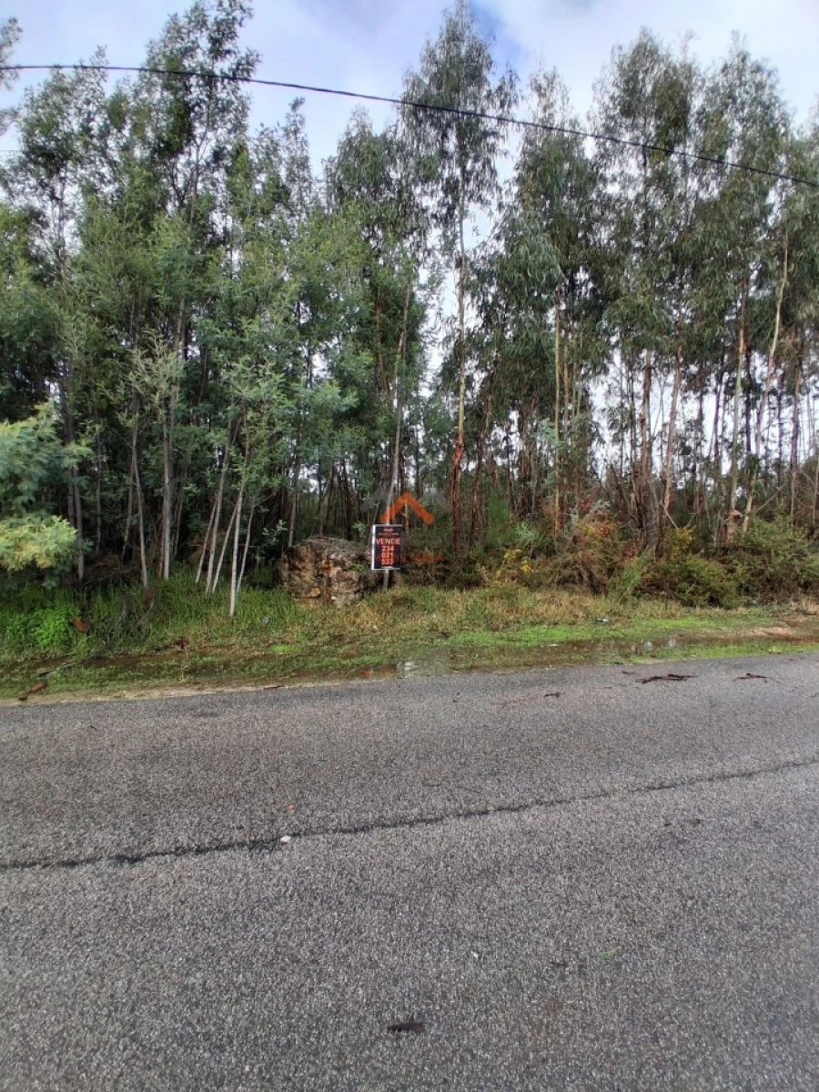Terreno para Venda em Águeda e Borralha Foto 5
