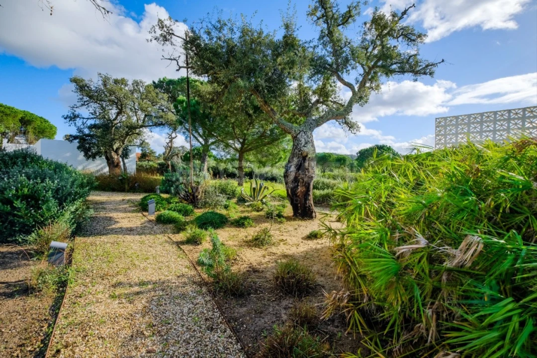 Quinta T5 para Venda em Grândola e Santa Margarida da Serra Foto 35