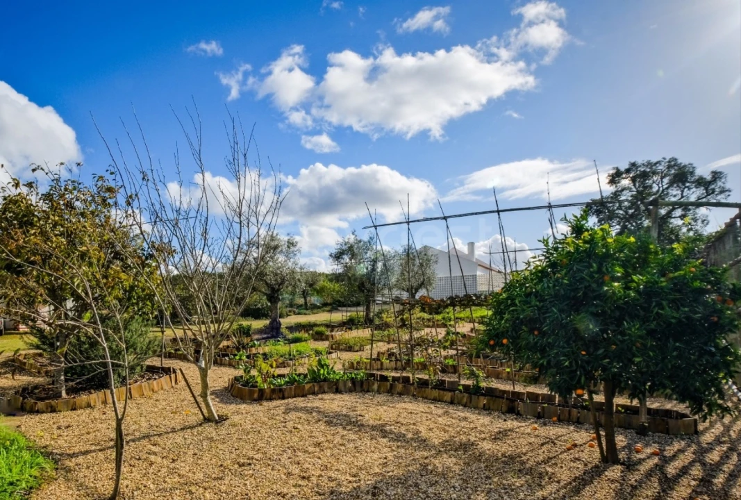 Quinta T5 para Venda em Grândola e Santa Margarida da Serra Foto 48