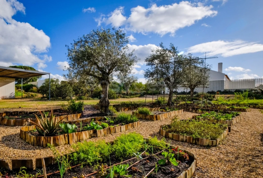Quinta T5 para Venda em Grândola e Santa Margarida da Serra Foto 49