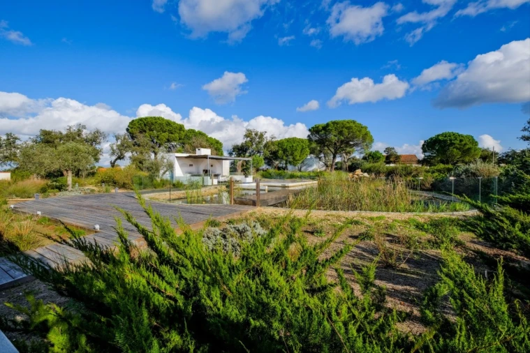 Quinta T5 para Venda em Grândola e Santa Margarida da Serra Foto 6