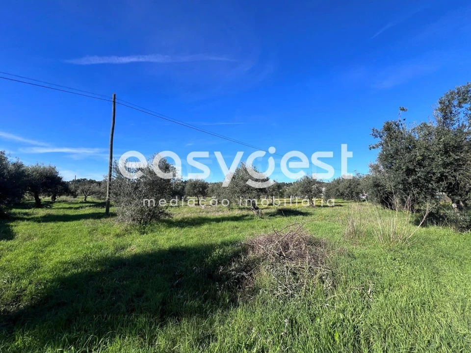 Terreno Misto para Venda em Abrantes (São Vicente e São João) e Alferrarede Foto 8