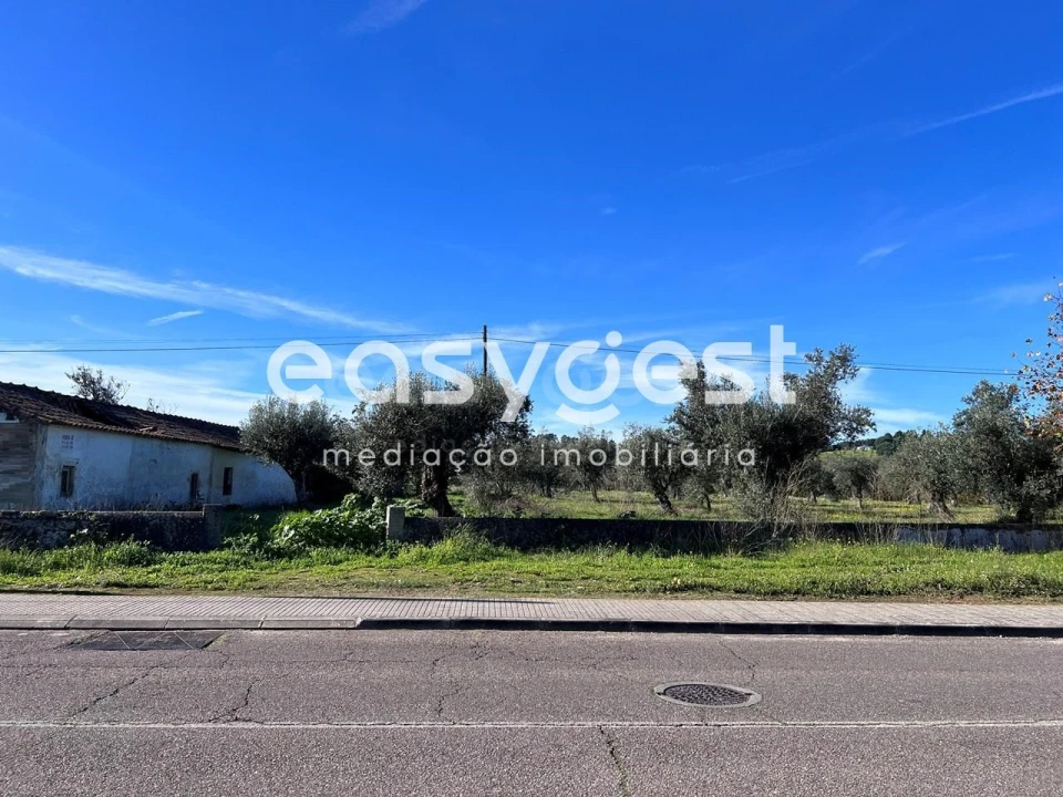 Terreno Misto para Venda em Abrantes (São Vicente e São João) e Alferrarede Foto 23