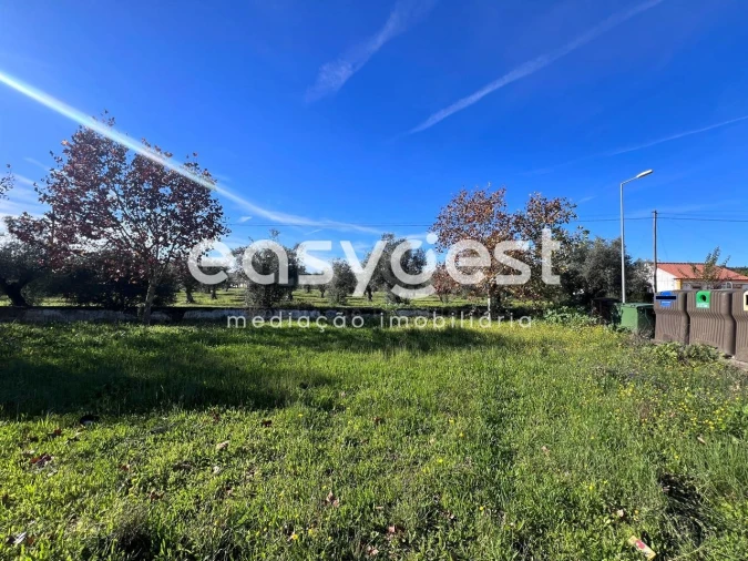 Terreno Misto para Venda em Abrantes (São Vicente e São João) e Alferrarede Foto 5