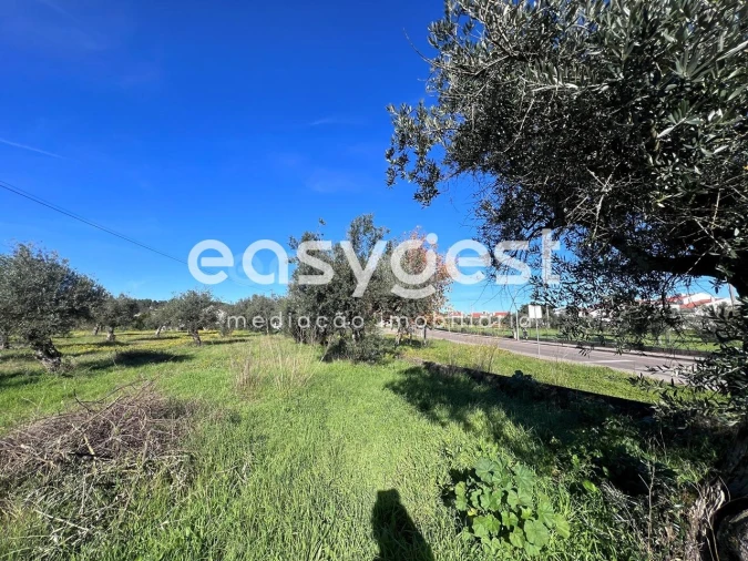 Terreno Misto para Venda em Abrantes (São Vicente e São João) e Alferrarede Foto 9
