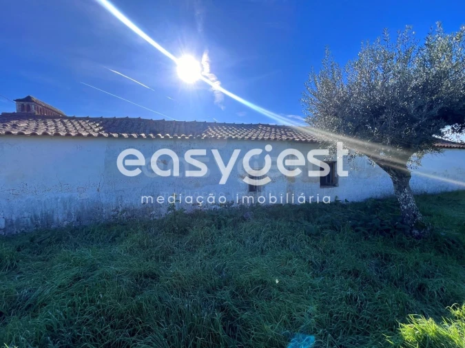 Terreno Misto para Venda em Abrantes (São Vicente e São João) e Alferrarede Foto 10