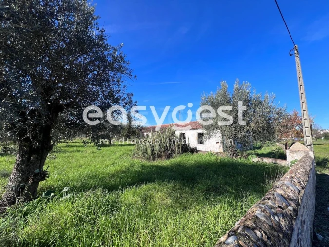 Terreno Misto para Venda em Abrantes (São Vicente e São João) e Alferrarede Foto 21