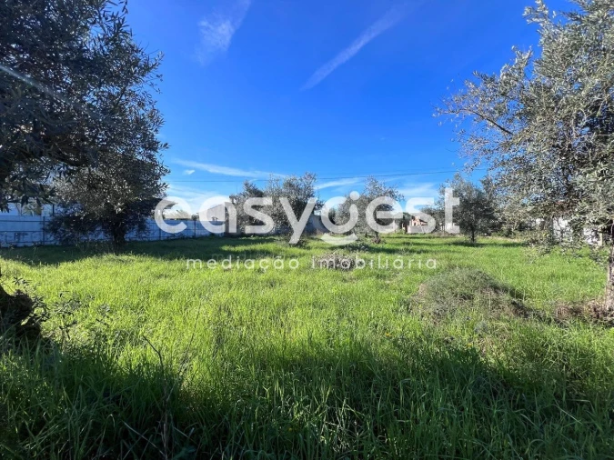 Terreno Misto para Venda em Abrantes (São Vicente e São João) e Alferrarede Foto 22