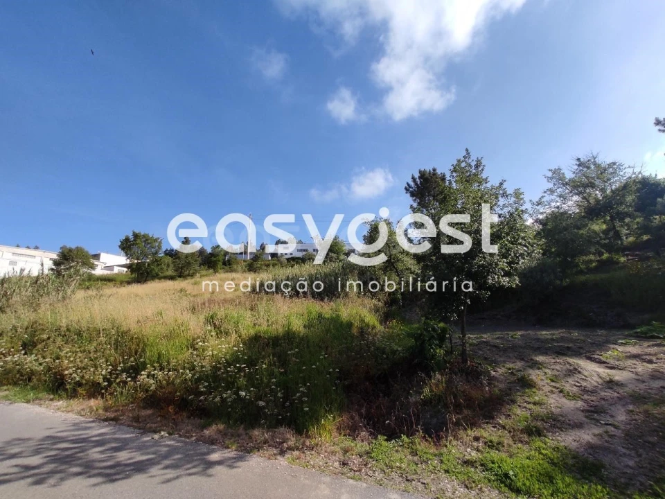 Terreno para Venda em Louriçal Foto 1