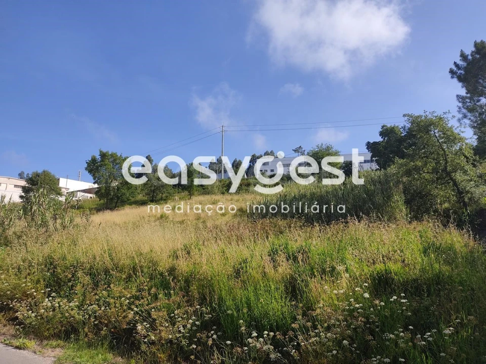 Terreno para Venda em Louriçal Foto 3