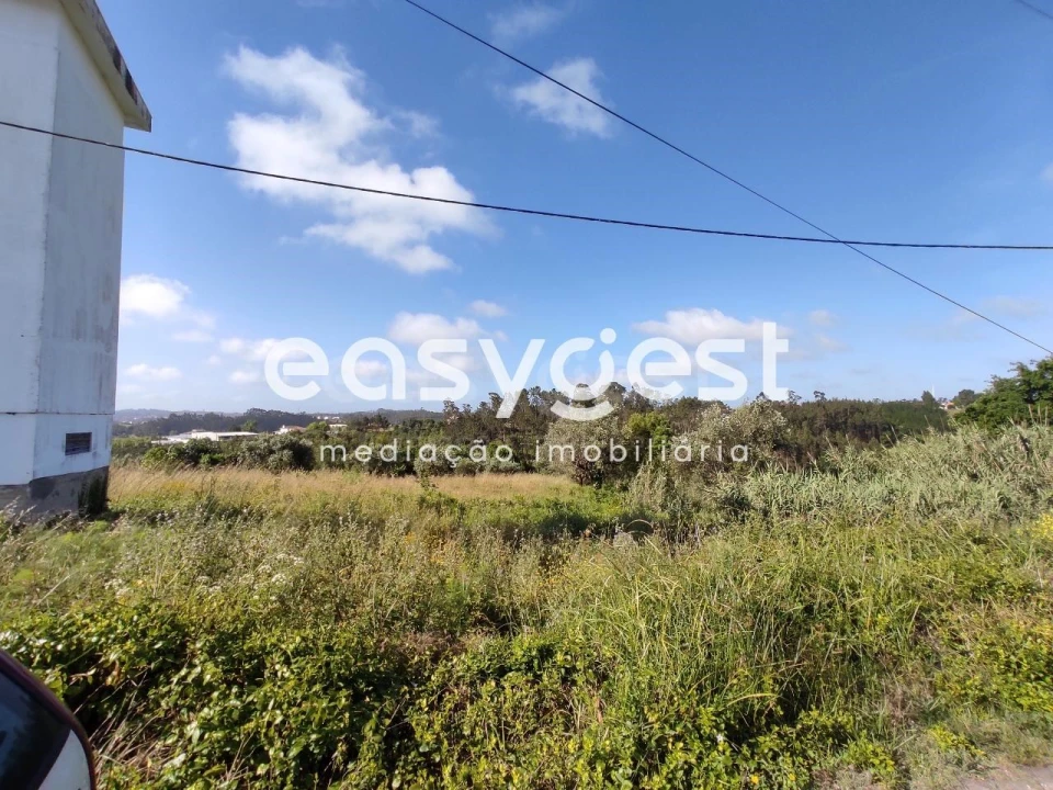 Terreno para Venda em Louriçal Foto 5