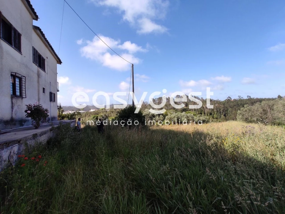 Terreno para Venda em Louriçal Foto 14