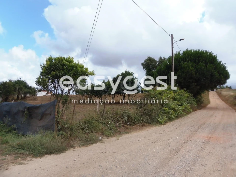 Terreno Agricola ou Rústico para Venda em Cercal Foto 2