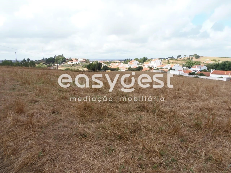 Terreno Agricola ou Rústico para Venda em Cercal Foto 3