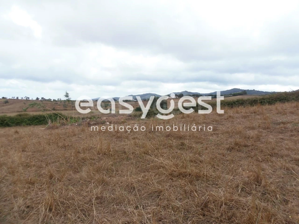 Terreno Agricola ou Rústico para Venda em Cercal Foto 5