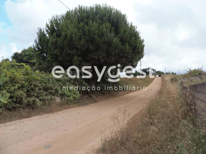 Terreno Agricola ou Rústico para Venda em Cercal