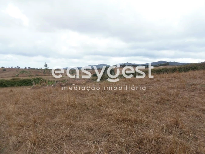 Terreno Agricola ou Rústico para Venda em Cercal Foto 5