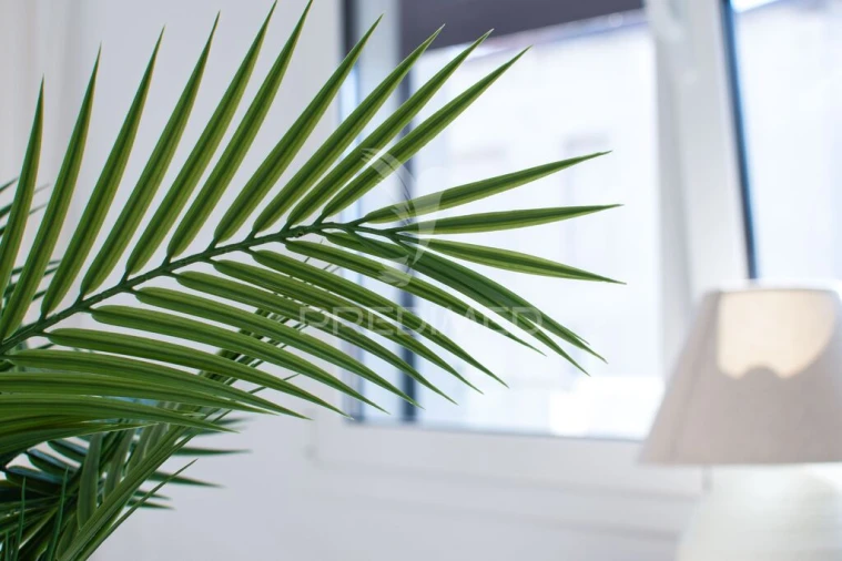 Apartamento T3 para Venda em Alcanena e Vila Moreira Foto 3