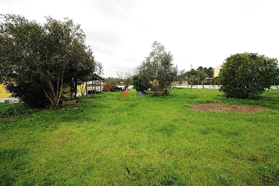 Moradia T3 para Venda em Glória do Ribatejo e Granho Foto 38