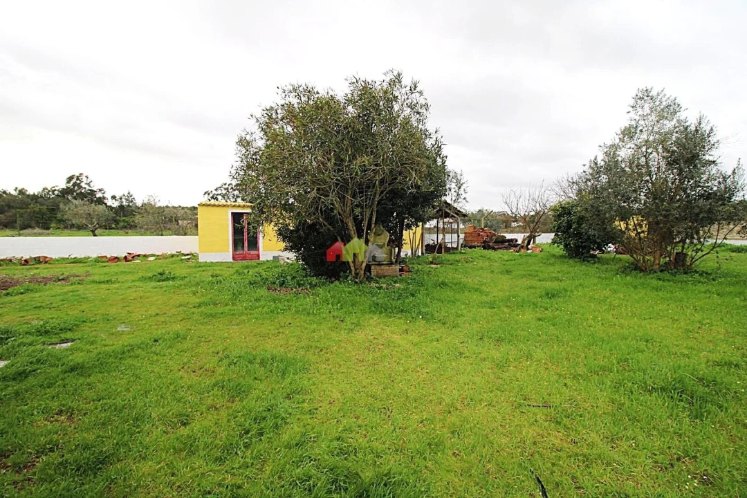 Moradia T3 para Venda em Glória do Ribatejo e Granho Foto 37