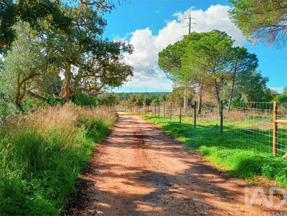Terreno para Venda em Bensafrim e Barão de São João Foto 10