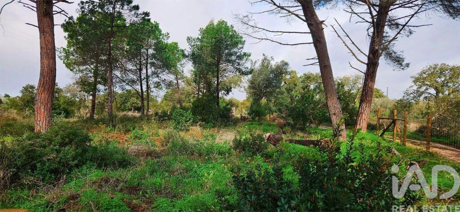 Terreno para Venda em Bensafrim e Barão de São João Foto 4