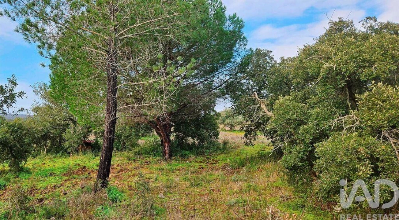 Terreno para Venda em Bensafrim e Barão de São João Foto 2