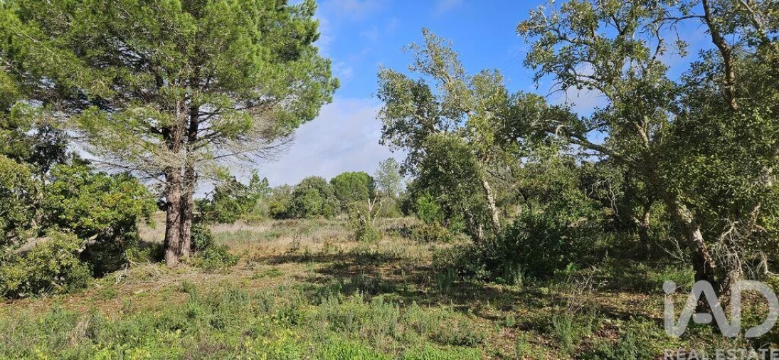Terreno para Venda em Bensafrim e Barão de São João Foto 3