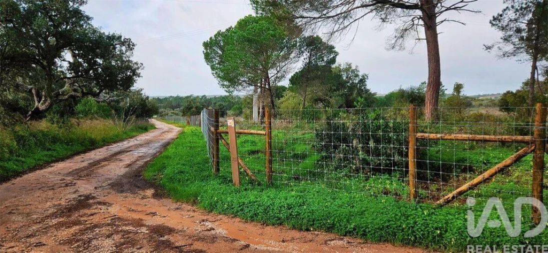 Terreno para Venda em Bensafrim e Barão de São João Foto 8
