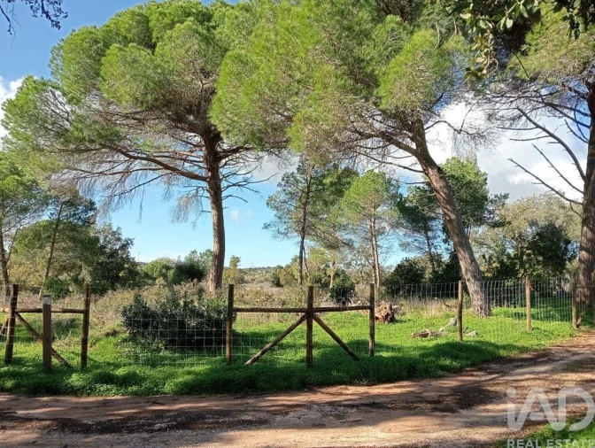 Terreno para Venda em Bensafrim e Barão de São João Foto 7